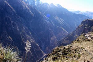 COLCA (Chivay) CONEXIÓN  PUNO
