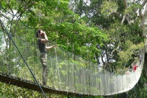 Amazon Vida 4 dias / 3 noches