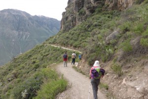 TREKKING 2DIAS /1NOCHE - COLCA CAÑON