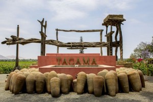 Ruta del Pisco + Buggies + Islas Ballestas + Paracas 2d/1n