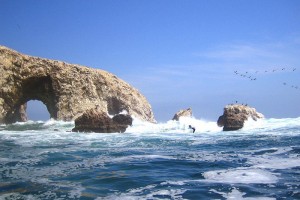 Full Day Ica: Islas Ballestas o Huacachina Extrema (Sab/Dom)