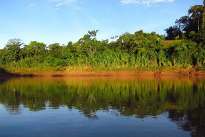 Collpa chuncho & Lago Sandoval 4 dias y 3 noches