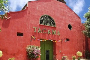 La Ruta del Pisco (Half Day)