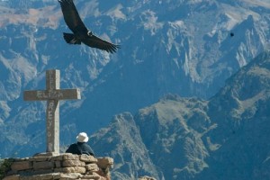 (TODO INCLUIDO EUROPEOS ) CAÑON DEL COLCA  - 1 DIA