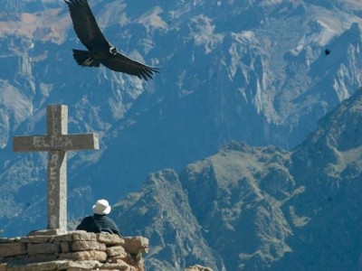 (TODO INCLUIDO EUROPEOS ) CAÑON DEL COLCA  - 1 DIA