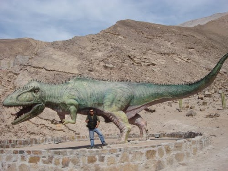 Valle de Majes: Tour de 2 días/1 noche