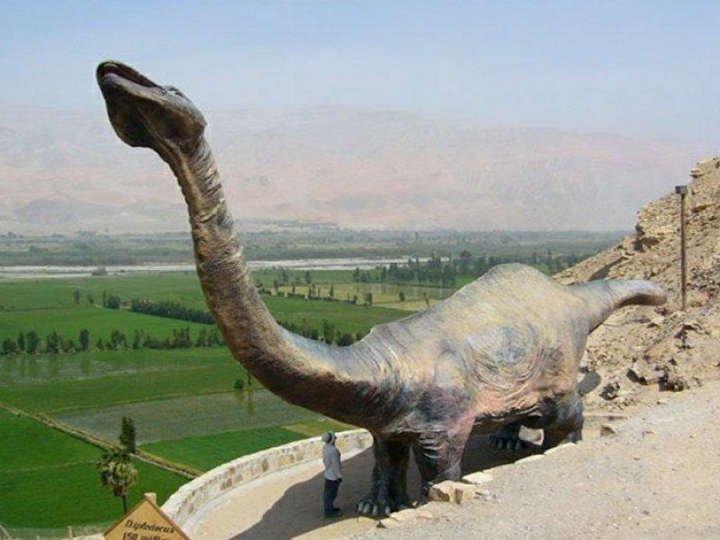 Valle de Majes: Tour de 2 días/1 noche