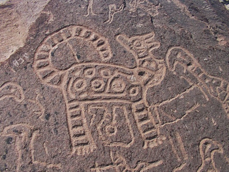 Valle de Majes: Tour de 2 días/1 noche