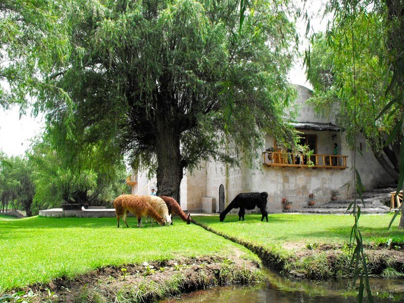 CAMPIÑA TOURS- 4 HORAS