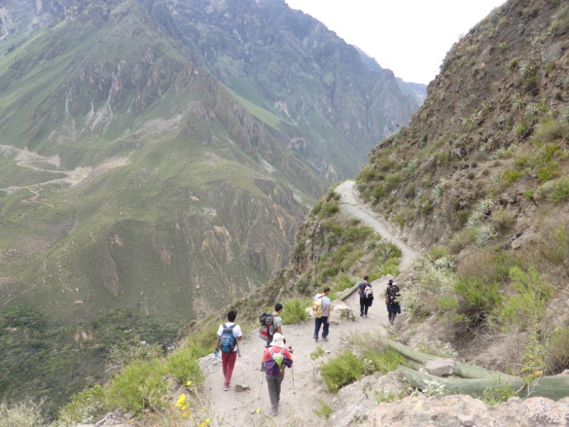CAÑON DEL COLCA TREKING 2D/1N TODO INCLUIDO EUROPEOS