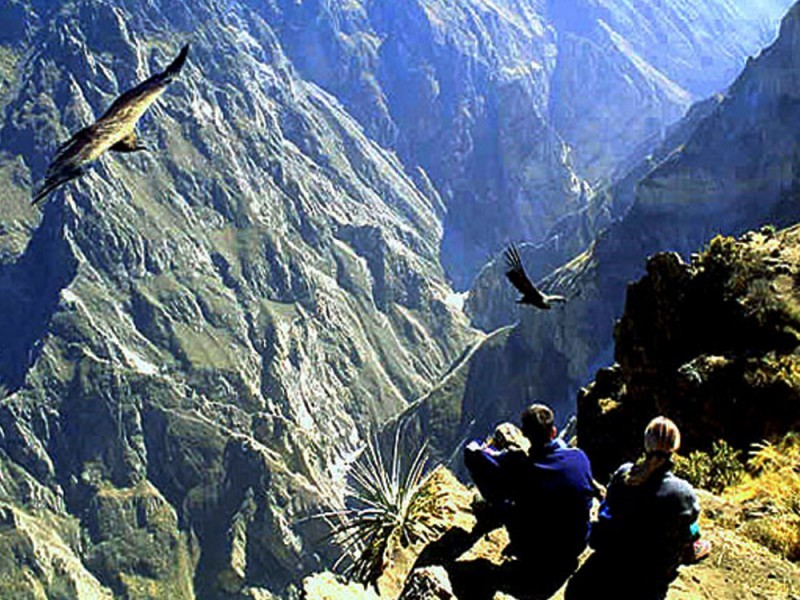 CAÑON DEL COLCA TREKING 2D/1N TODO INCLUIDO EUROPEOS