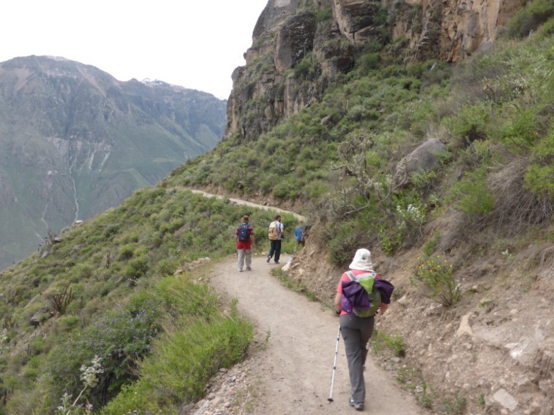 CAÑON DEL COLCA TREKING 2D/1N TODO INCLUIDO EUROPEOS