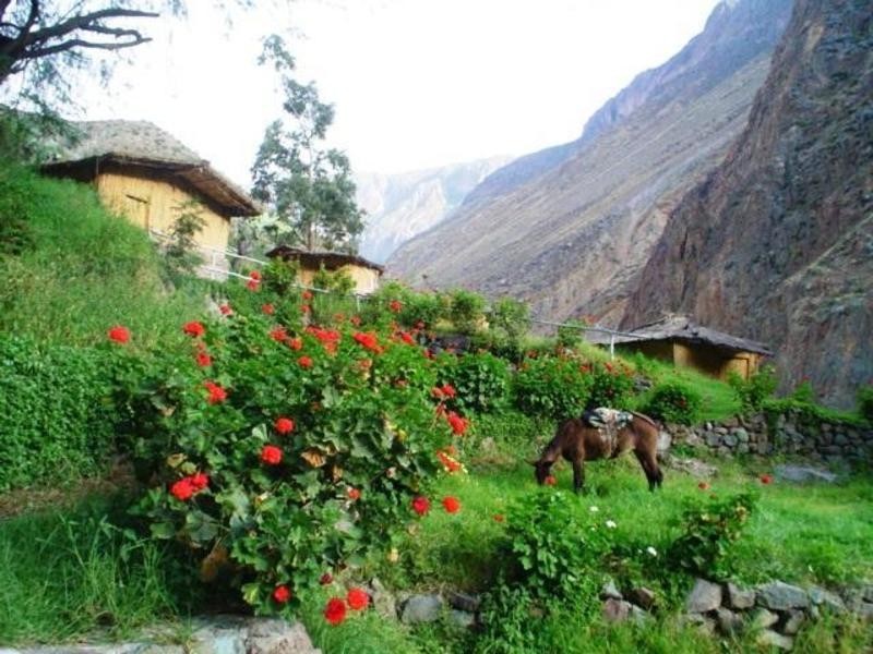 CAÑON DEL COLCA TREKING 2D/1N TODO INCLUIDO EUROPEOS