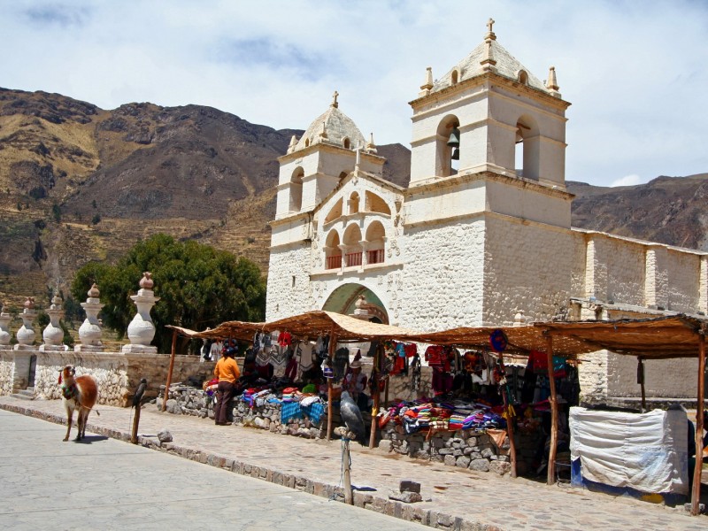 CAÑON DEL COLCA  - 1 DIA