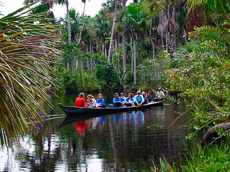DESCUBRIENDO TAMBOPATA 3D/2N