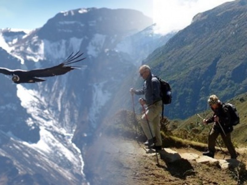 CAÑON DEL COLCA TREKING 2D/1N TODO INCLUIDO EUROPEOS