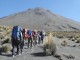 ASCENSO AL VOLCAN DEL MISTI 2D/1N