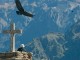 (TODO INCLUIDO EUROPEOS ) CAÑON DEL COLCA  - 1 DIA